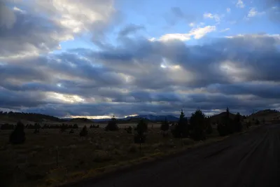 DSC_2954 (Large).JPG